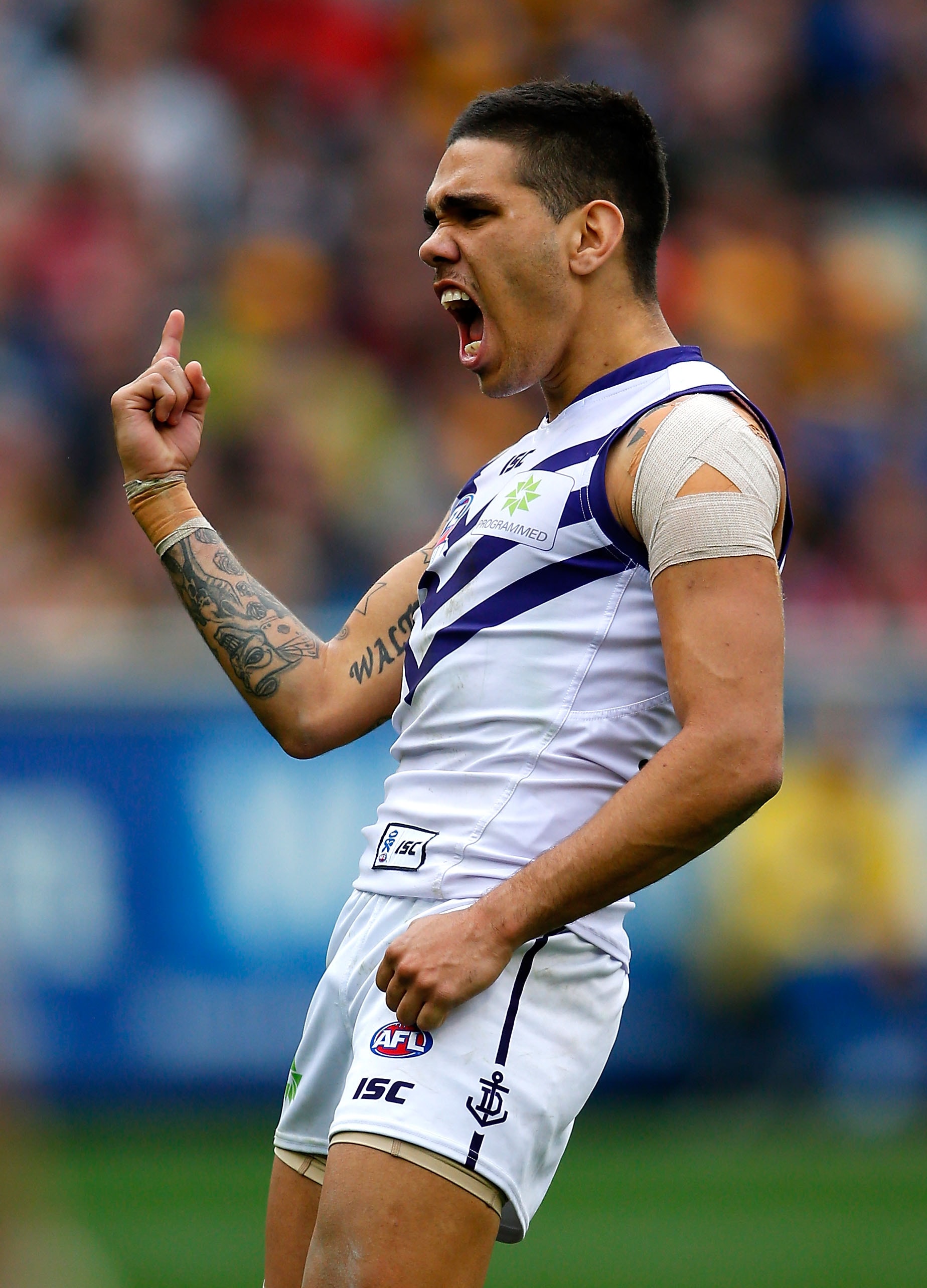 Michael Walters Season Review Fremantlefc Com Au Michael Walters Season Review Fremantlefc Com Au